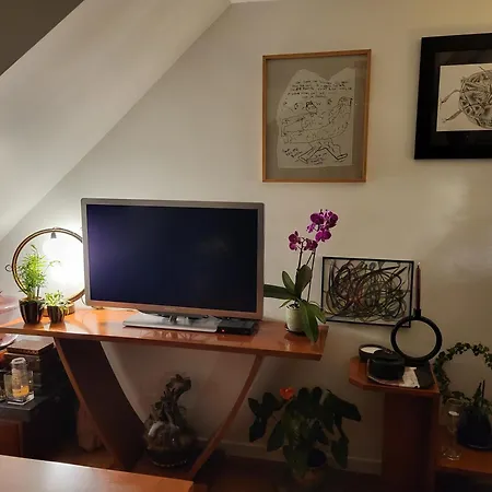 Apartment Ghjoia Esprits Atelier D'artiste *
